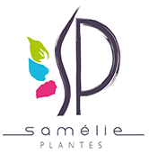 samelieplantes